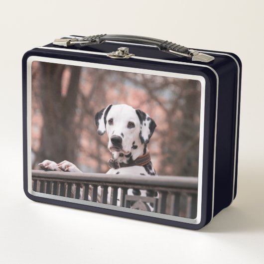 Lunch Box Dalmatien (Devant)