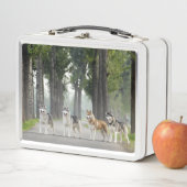 Lunch Box De beaux chiens Husky sur un sentier naturel (En situation)