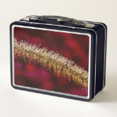 Lunch Box Dew du matin (Dos)