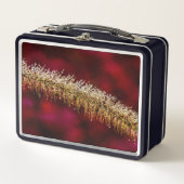 Lunch Box Dew du matin (Devant)
