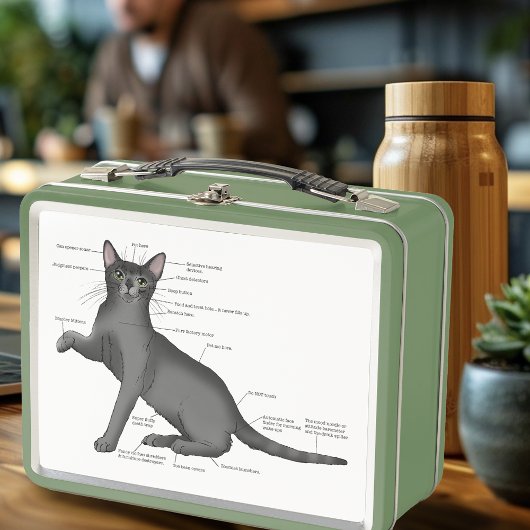 Lunch Box Diagramme d'anatomie de chat drôle Humour Nerd