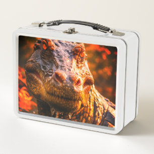 Lunch Box Dinosaure