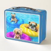 Lunch Box Dog Pool Party (Dos)