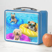 Lunch Box Dog Pool Party (En situation)