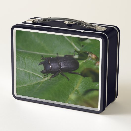 Lunch Box Dorcus parallelipipedus, le moindre dendroctone du (Dos)