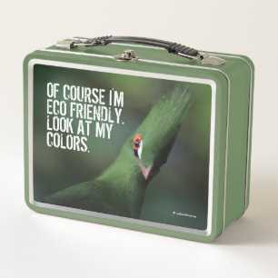 Lunch Box Drôle Curieux Guinée Turaco Oiseau Vert