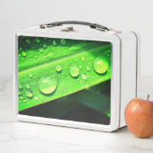 Lunch Box Droplets d'eau (En situation)