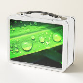 Lunch Box Droplets d'eau (Dos)