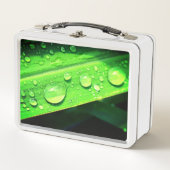 Lunch Box Droplets d'eau (Devant)