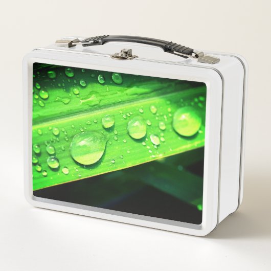 Lunch Box Droplets d'eau (Devant)