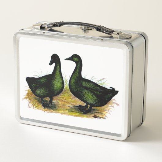 Lunch Box Ducks : Cayuga Pair (Dos)