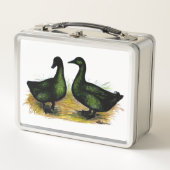 Lunch Box Ducks : Cayuga Pair (Devant)