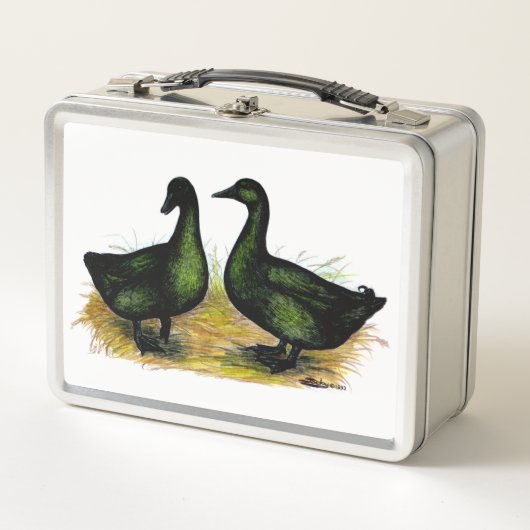 Lunch Box Ducks : Cayuga Pair (Devant)