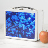 Lunch Box Écran de méduse (En situation)