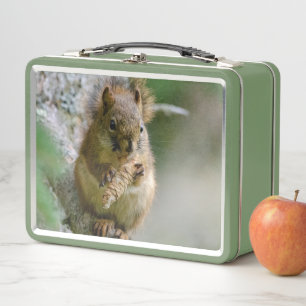 Lunch Box Écureuil de forêt – Photographie de faune sauvage