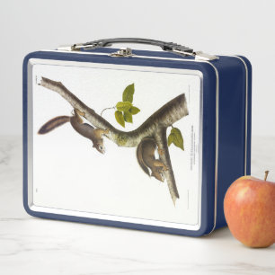 Lunch Box Écureuil rouge américain (Colombien de Richardson)