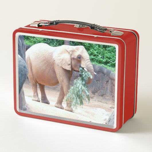 Lunch Box Eléphant (Dos)