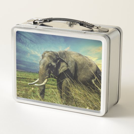 Lunch Box Eléphant (Dos)