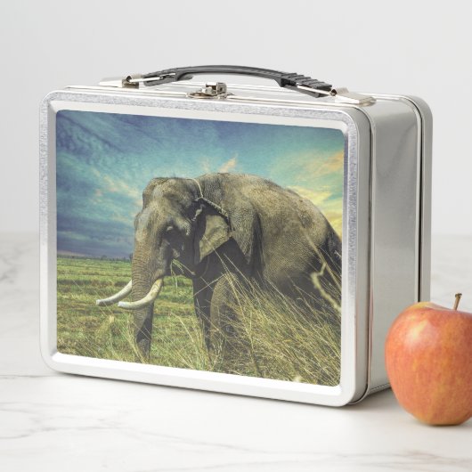 Lunch Box Eléphant (En situation)