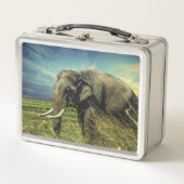 Lunch Box Eléphant (Devant)