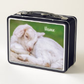 Lunch Box Enfant de chèvre de bébé endormi (Dos)