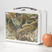 Lunch Box Ernst Haeckel, ancienne illustration de mode Lacer (En situation)