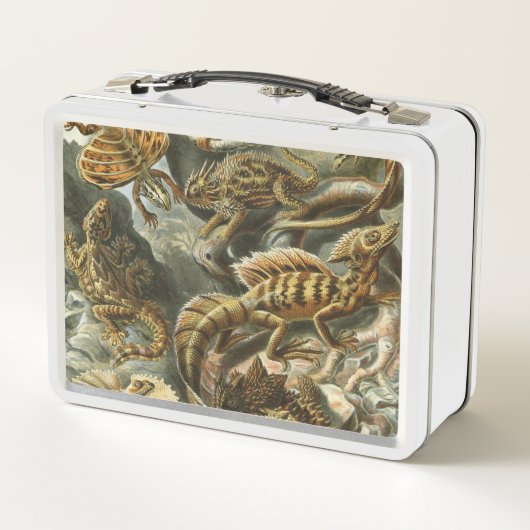 Lunch Box Ernst Haeckel, ancienne illustration de mode Lacer (Dos)