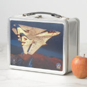 LUNCH BOX F-14 TOMCAT (En situation)