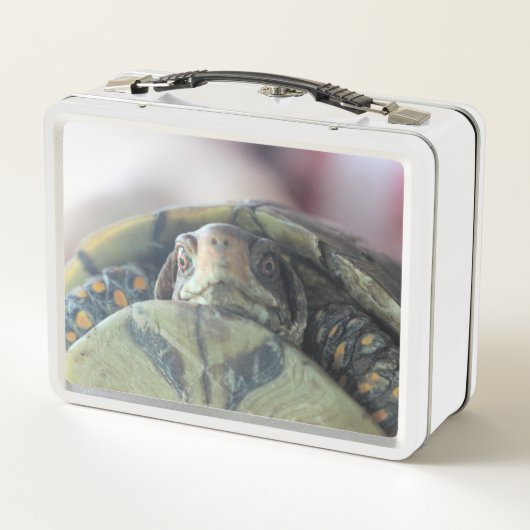 Lunch Box Face de tortue (Dos)