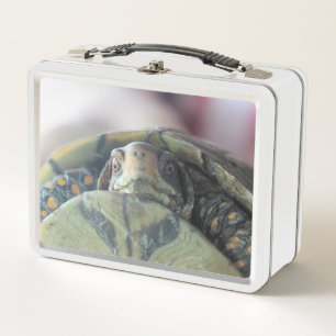 Lunch Box Face de tortue