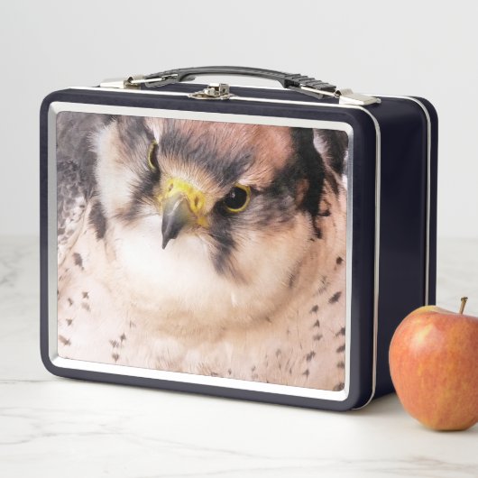 LUNCH BOX FALCON (En situation)