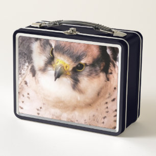LUNCH BOX FALCON