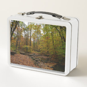 Lunch Box Fall Creek à Laurel Hill State Park Pennsylvania