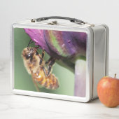 Lunch Box Fallen Fuzzy Little Bee (En situation)