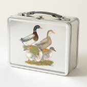 Lunch Box Famille de canards de Saxe (Devant)