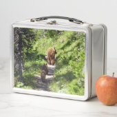Lunch Box Famille d'ours bruns (En situation)