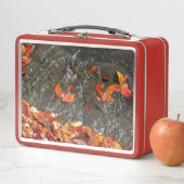 Lunch Box Feuilles d'automne dans la cascade I Photographie  (En situation)