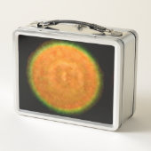 Lunch Box Fireworks 9 lunbox inoxydable (Dos)