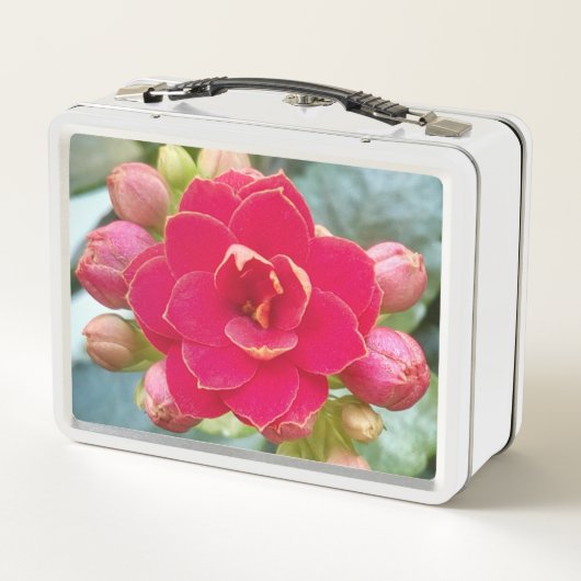 Lunch Box Fleur de Kalanchoe (Dos)