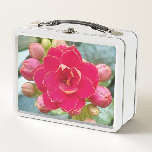 Lunch Box Fleur de Kalanchoe (Devant)