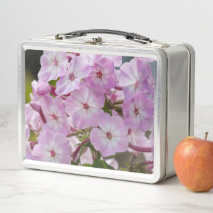 Lunch Box Fleur de Phlox Rose, Photographie Canadienne