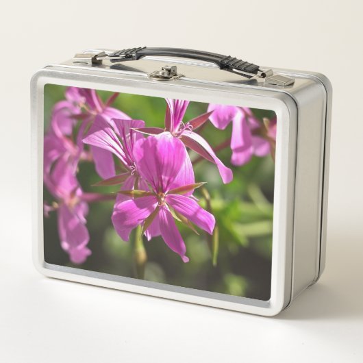 Lunch Box Fleurs roses d'un géranium à feuilles de lierre (Devant)