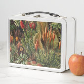 Lunch Box Flore Vintage (En situation)