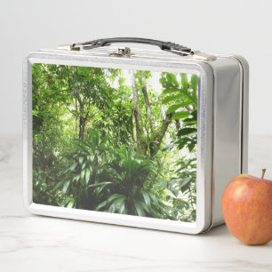 Lunch Box Forêt de pluie dominicaine I Nature verte tropical