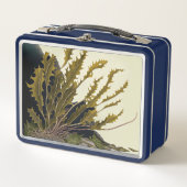Lunch Box Front de Tidal (Devant)