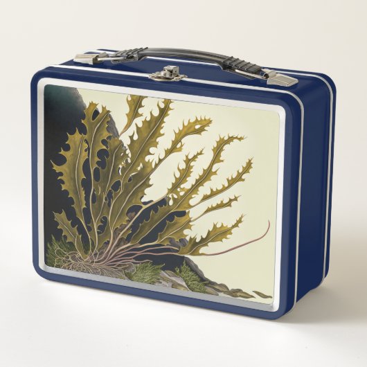 Lunch Box Front de Tidal (Devant)