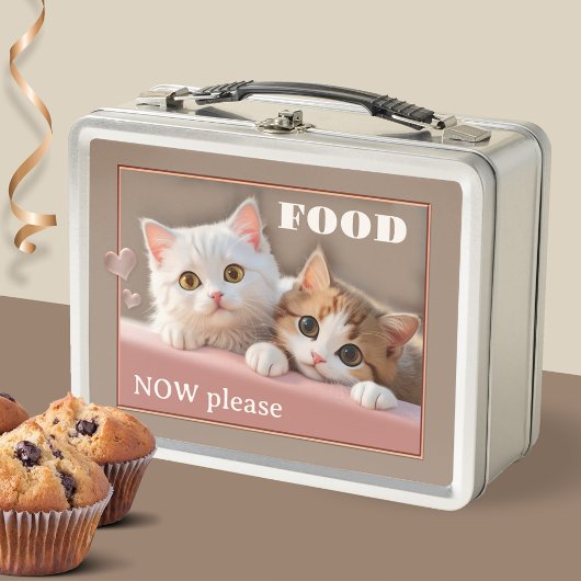 Lunch Box Funny Kittens mignon Amoureux des chats