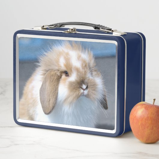 Lunch Box Fuzzy Holland Mini Dwarf Lop Bunny Rabbit (En situation)