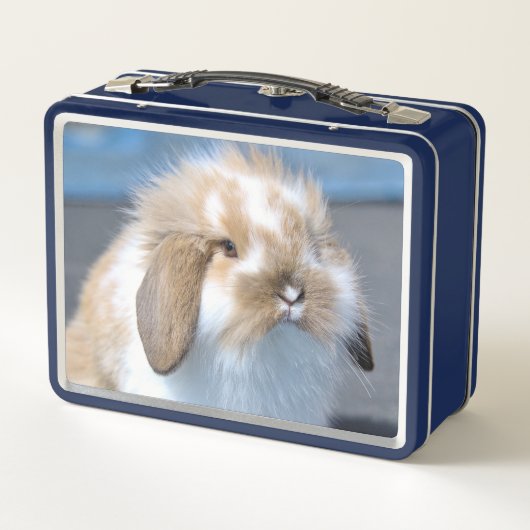 Lunch Box Fuzzy Holland Mini Dwarf Lop Bunny Rabbit (Dos)