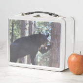 Lunch Box Gamelle d'ours noir (En situation)